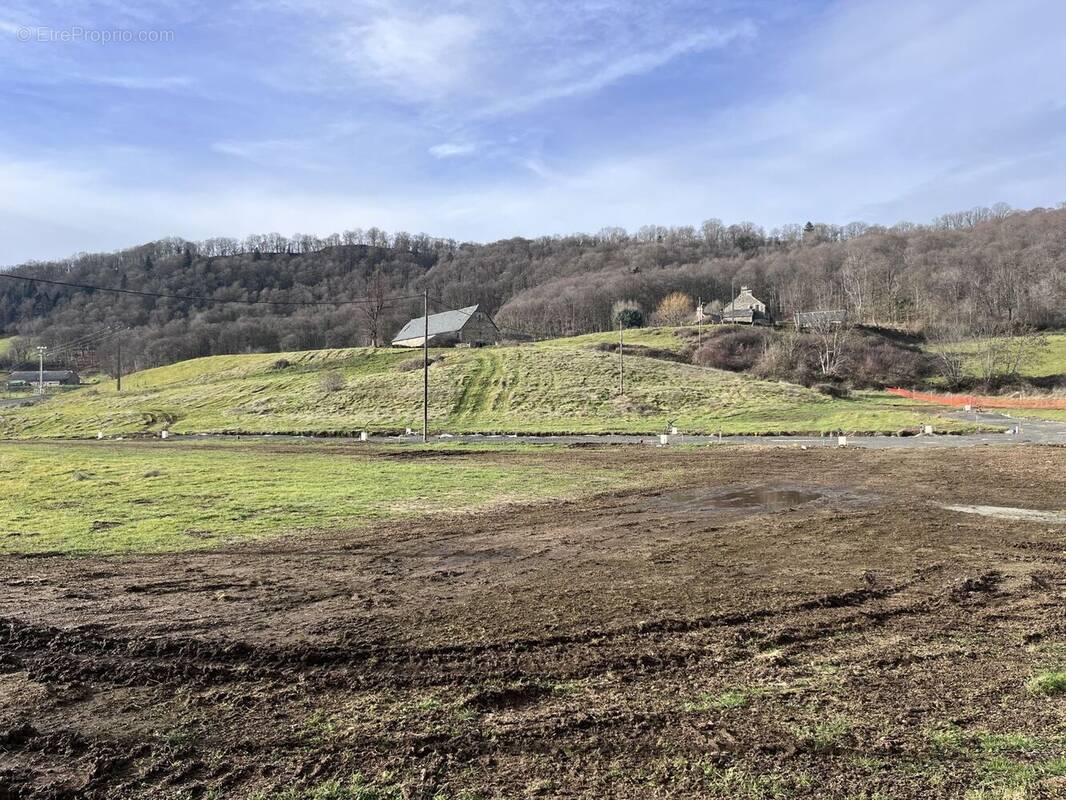 Terrain à RIOM-ES-MONTAGNES