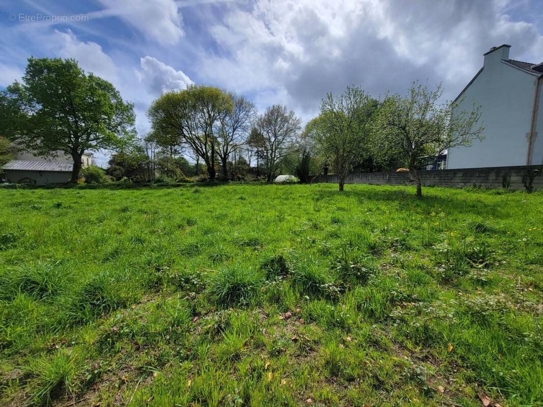 Terrain à LANGONNET