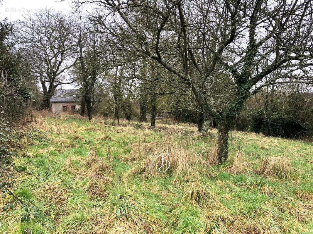 Maison à SAINT-GERMAIN-DE-COULAMER