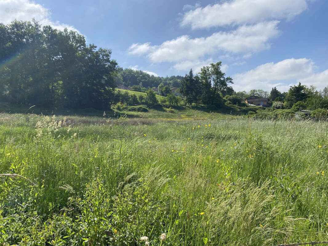 Terrain à COURPIERE