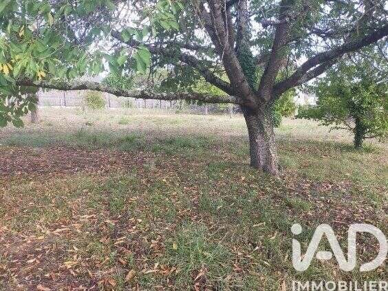 Photo 2 - Terrain à REIGNAC-SUR-INDRE