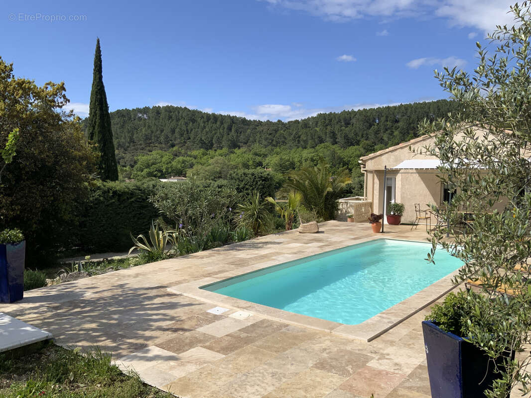 Villa avec vue montagne et piscine - photo 7