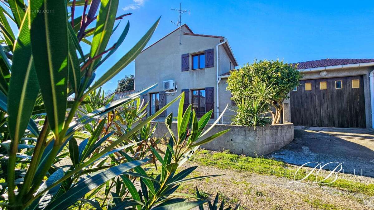 Maison à MONTESCOT