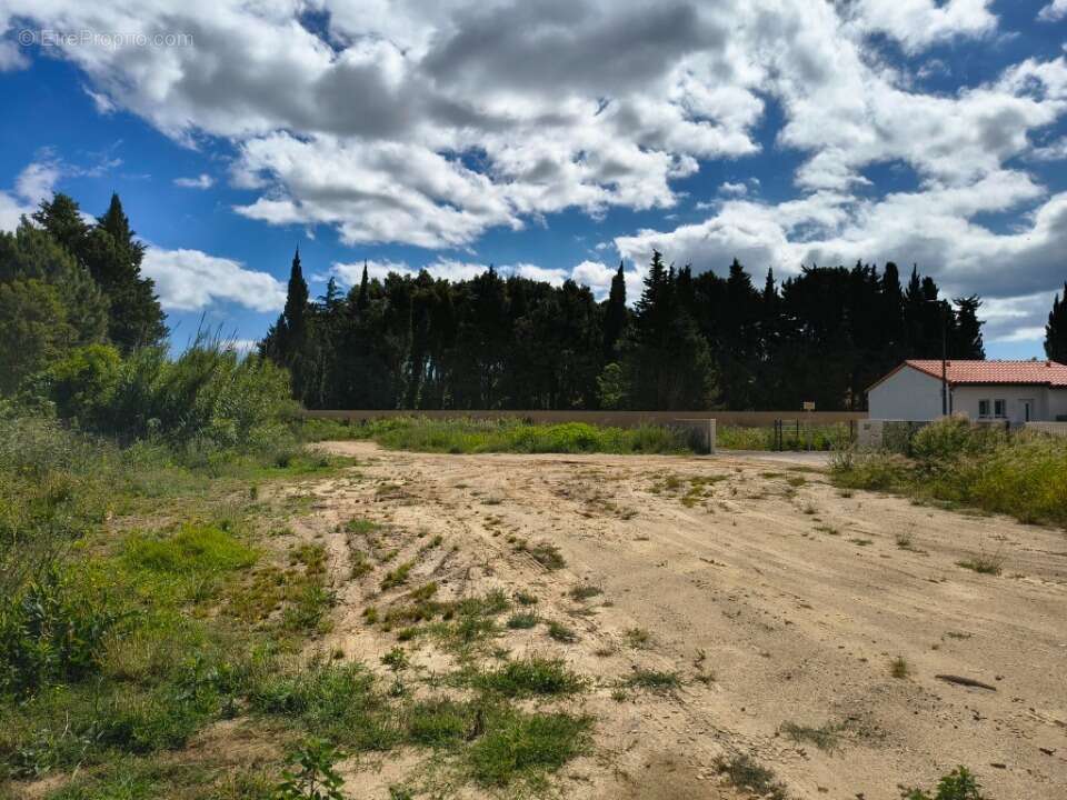 Terrain à ELNE