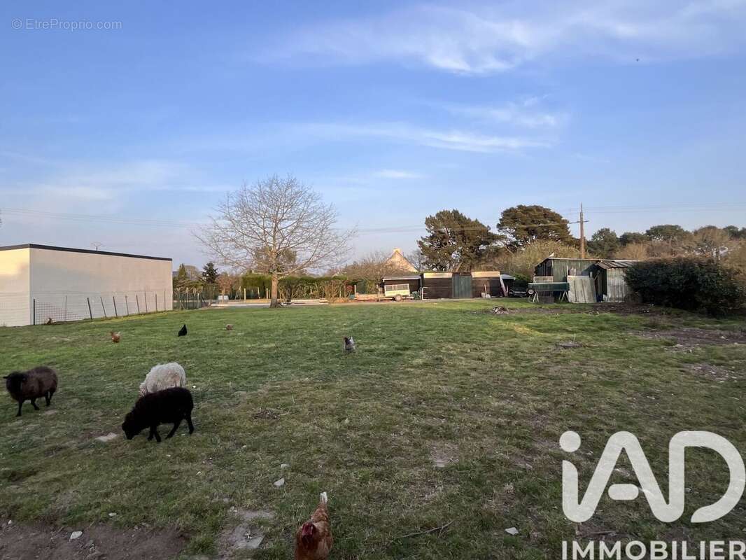 Photo 6 - Terrain à MISSILLAC