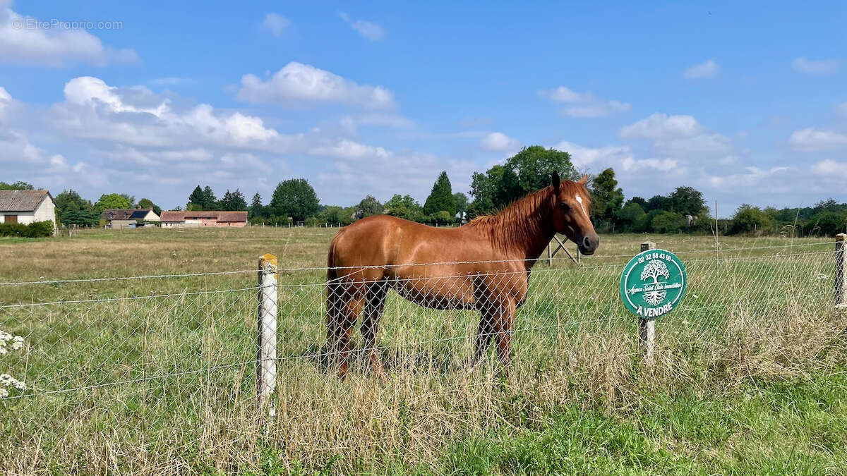 Terrain à LA CROISILLE
