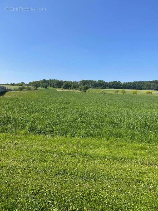 Photo 2 - Terrain à RANTZWILLER