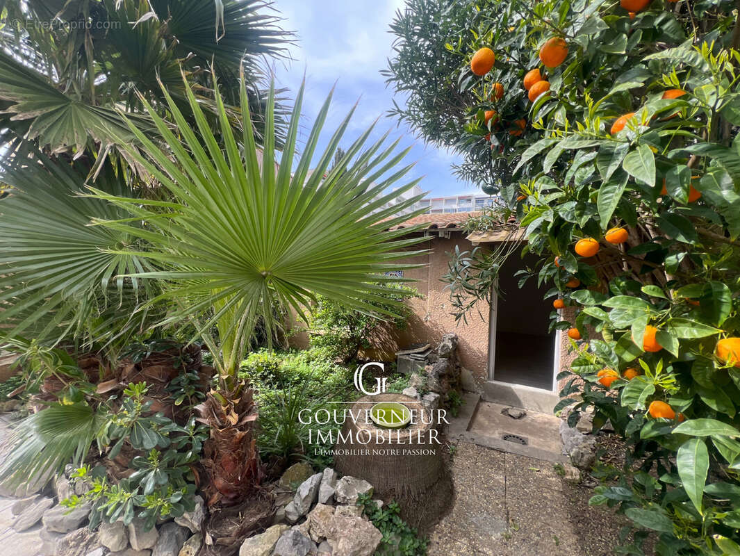 Commerce à CANDILLARGUES