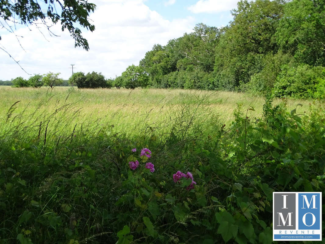Maison à SAINT-GERMAIN-DES-BOIS