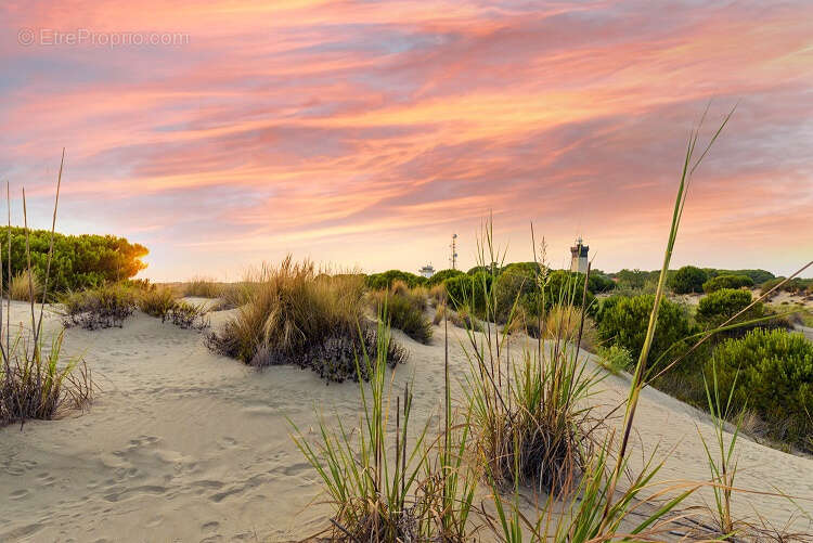 Appartement à LE GRAU-DU-ROI