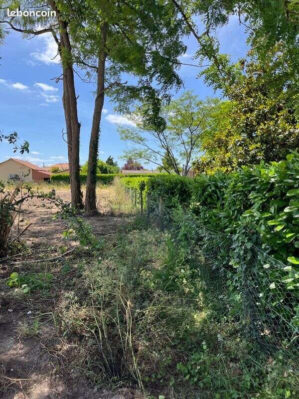 Terrain à AMBARES-ET-LAGRAVE