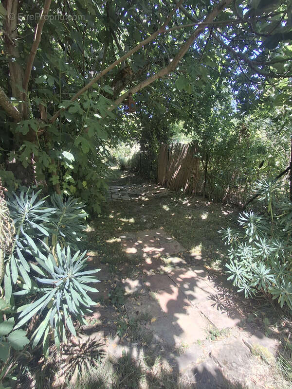 NOUVEAUTE A FOURQUEVAUX- Maison de village avec jardin - photo 22
