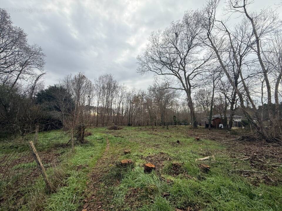 Terrain à SAINT-SELVE