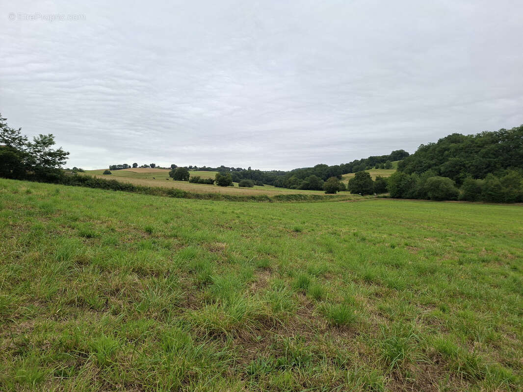 Terrain à MARCIAC