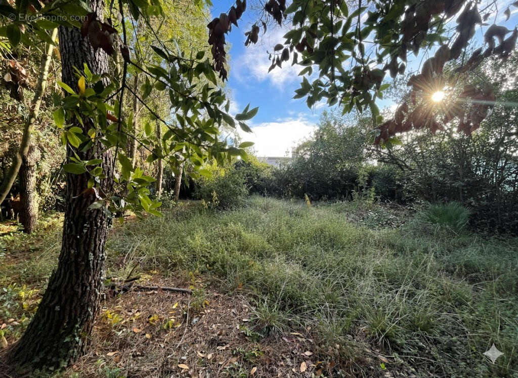 Terrain à CAPBRETON