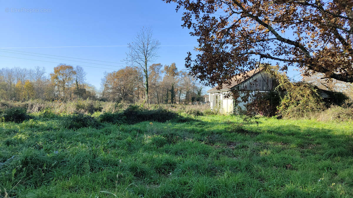Terrain à LANGON