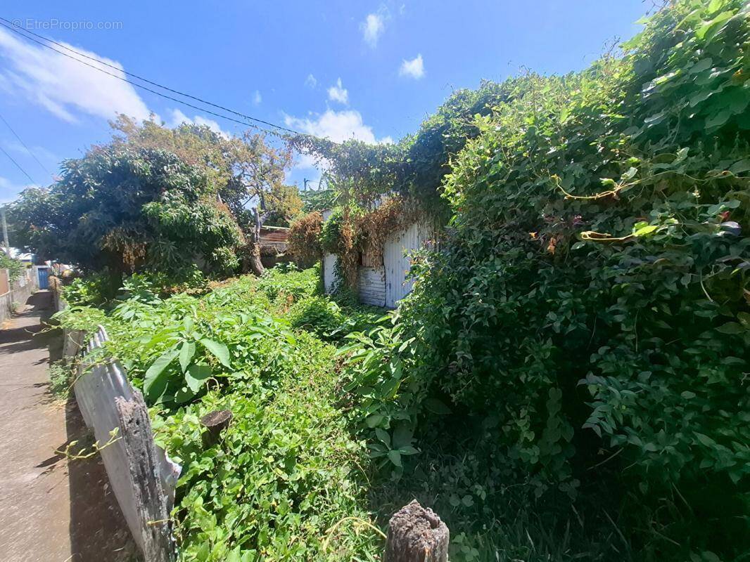 Terrain à LE TAMPON