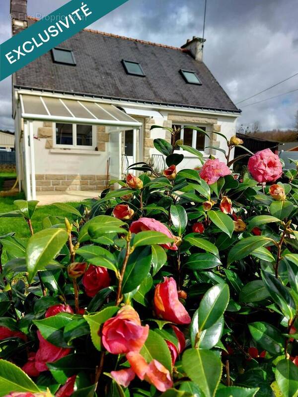 Photo 1 - Maison à PLOERDUT