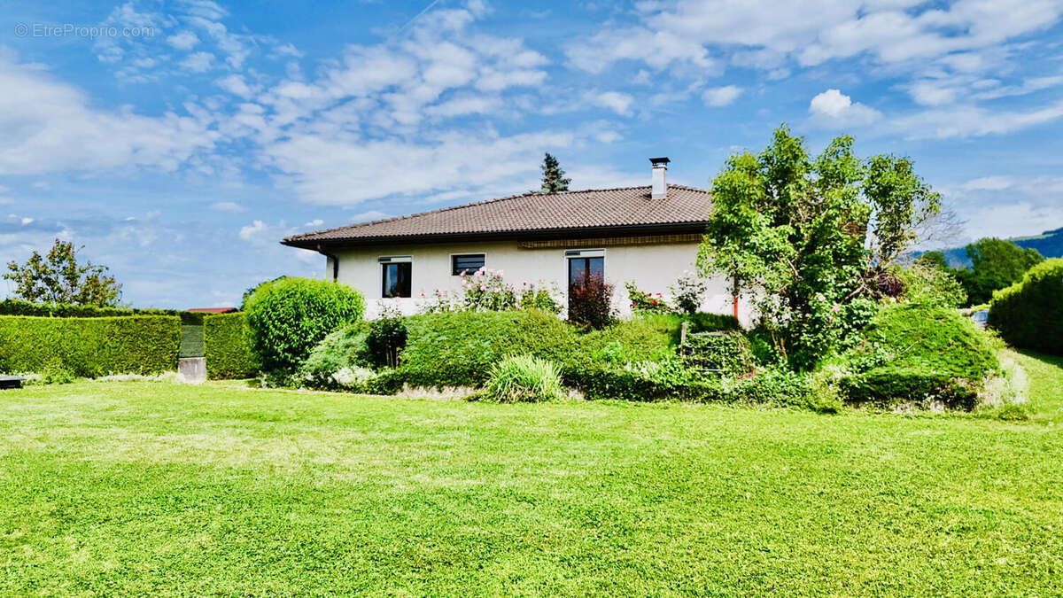 maison  - Maison à FEIGERES