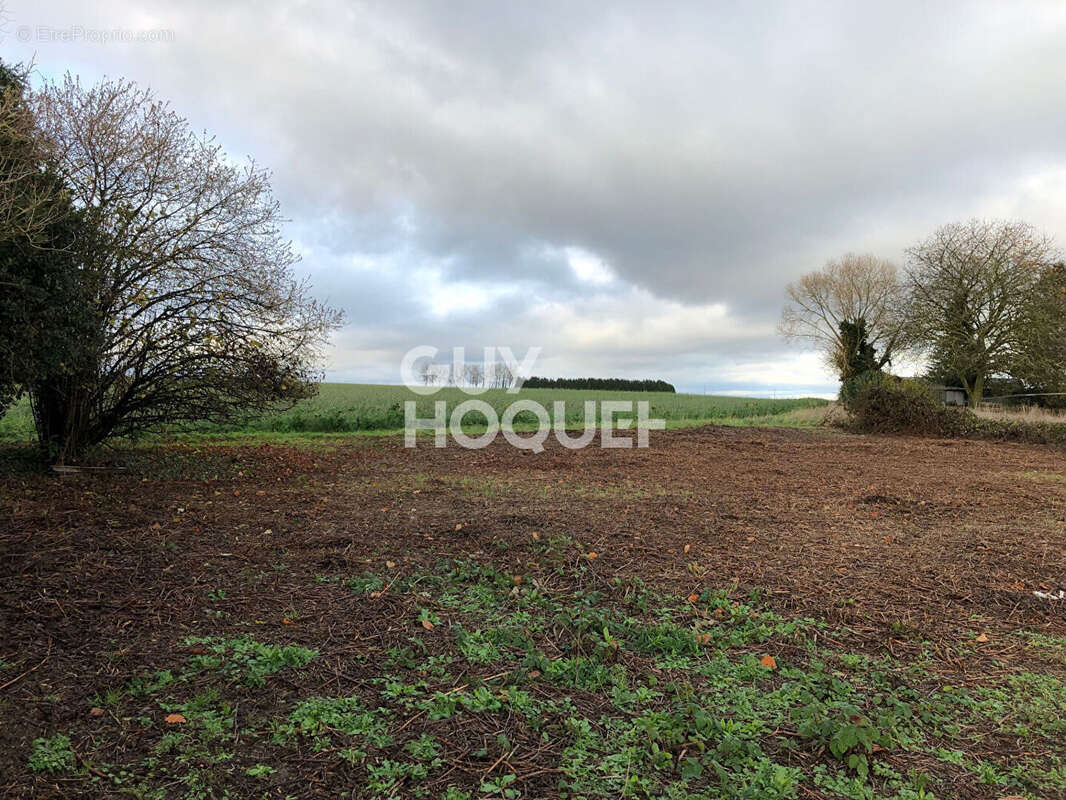 Terrain à PERONNE