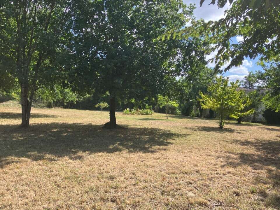Terrain 1200 m² à Chaniers  - photo 2