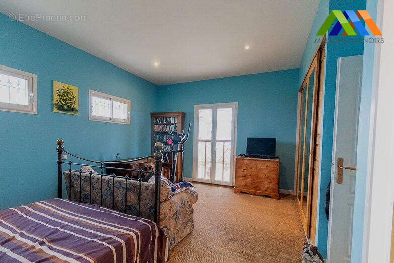Maison 250 m² à Plaisance  - photo 5