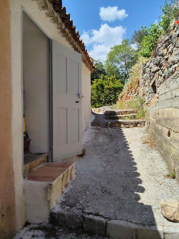 Photo 7 - Maison à MONTFORT-SUR-ARGENS
