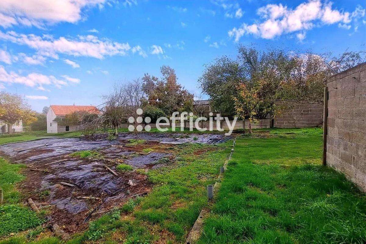 Terrain à LA REGRIPPIERE