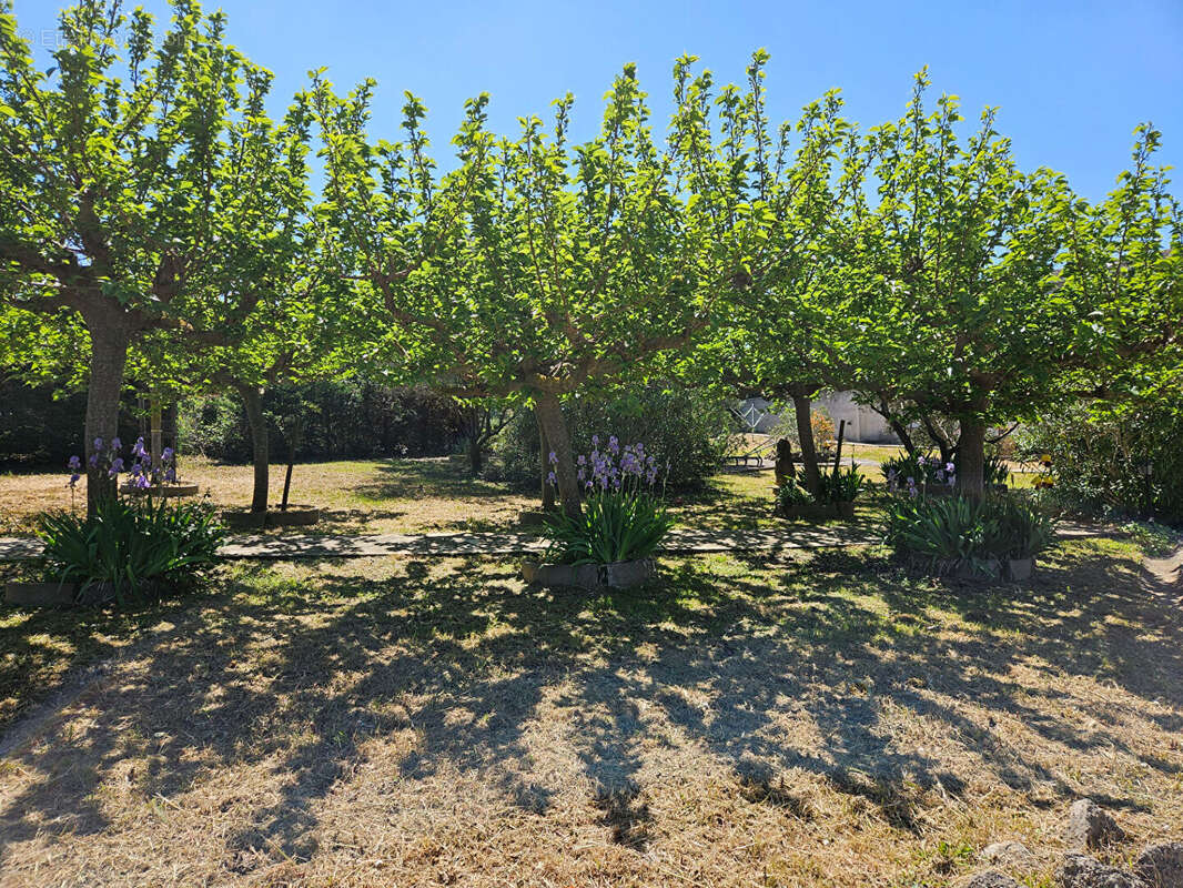 Maison à CARCASSONNE