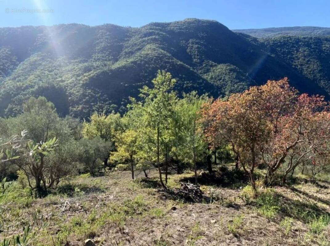 Appartement à PIERREFEU