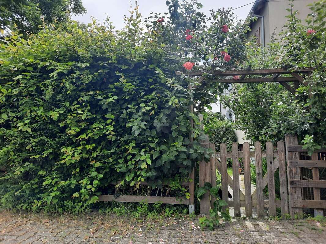 Maison à ZILLISHEIM
