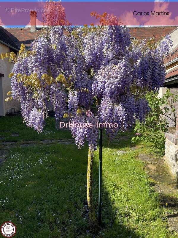 Maison à GIRONVILLE