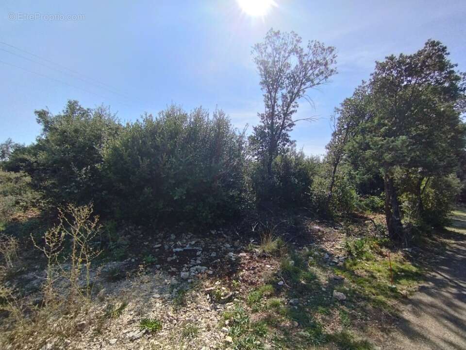 Terrain à ORGNAC-L'AVEN