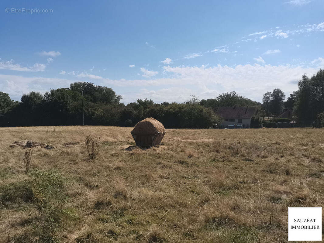 Terrain à MAGNAC-BOURG