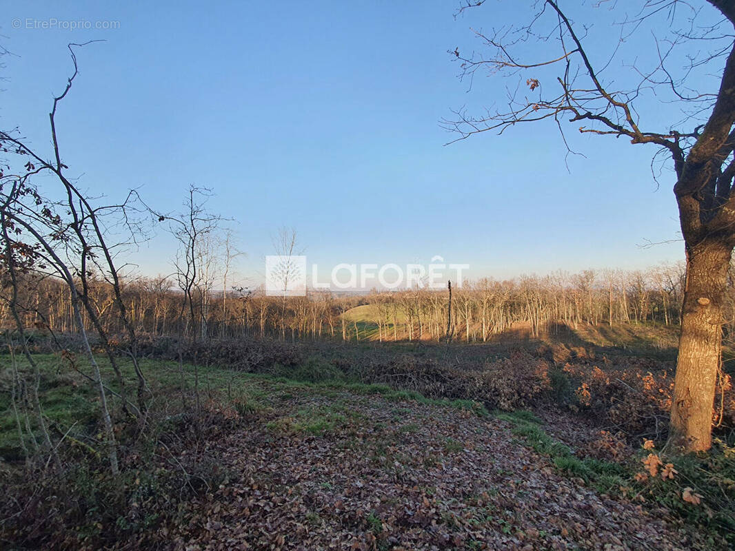 Terrain à MONCLAR-DE-QUERCY