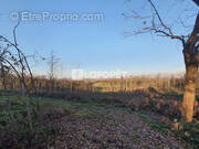 Terrain à MONCLAR-DE-QUERCY
