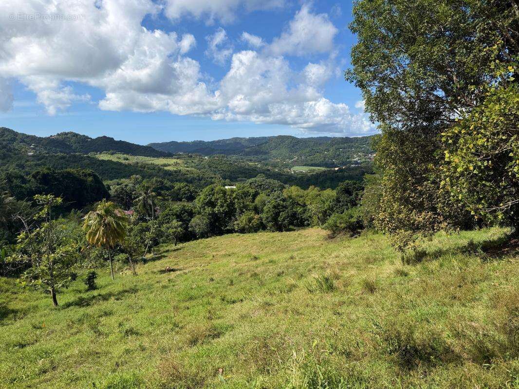 Terrain à LE VAUCLIN