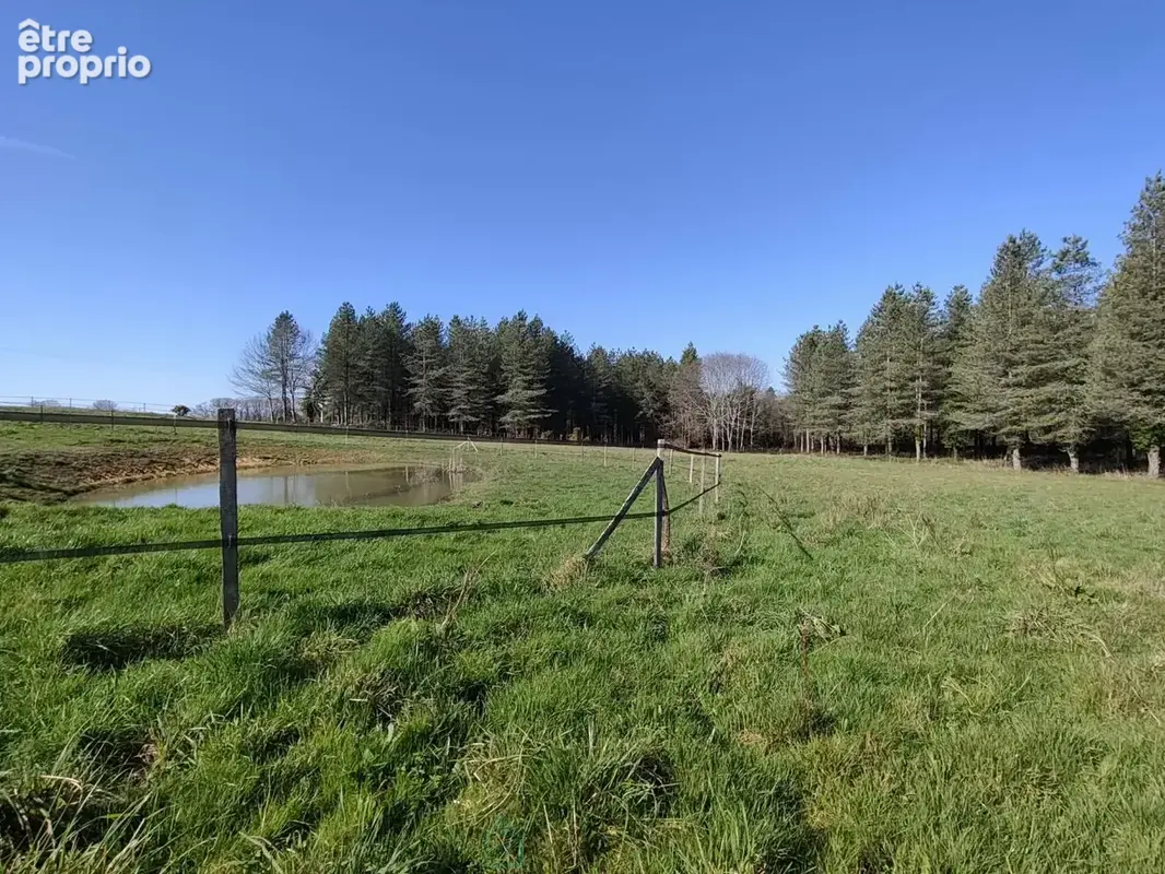 Propriété équestre de 5 hectares proche de Monpazier - photo 14