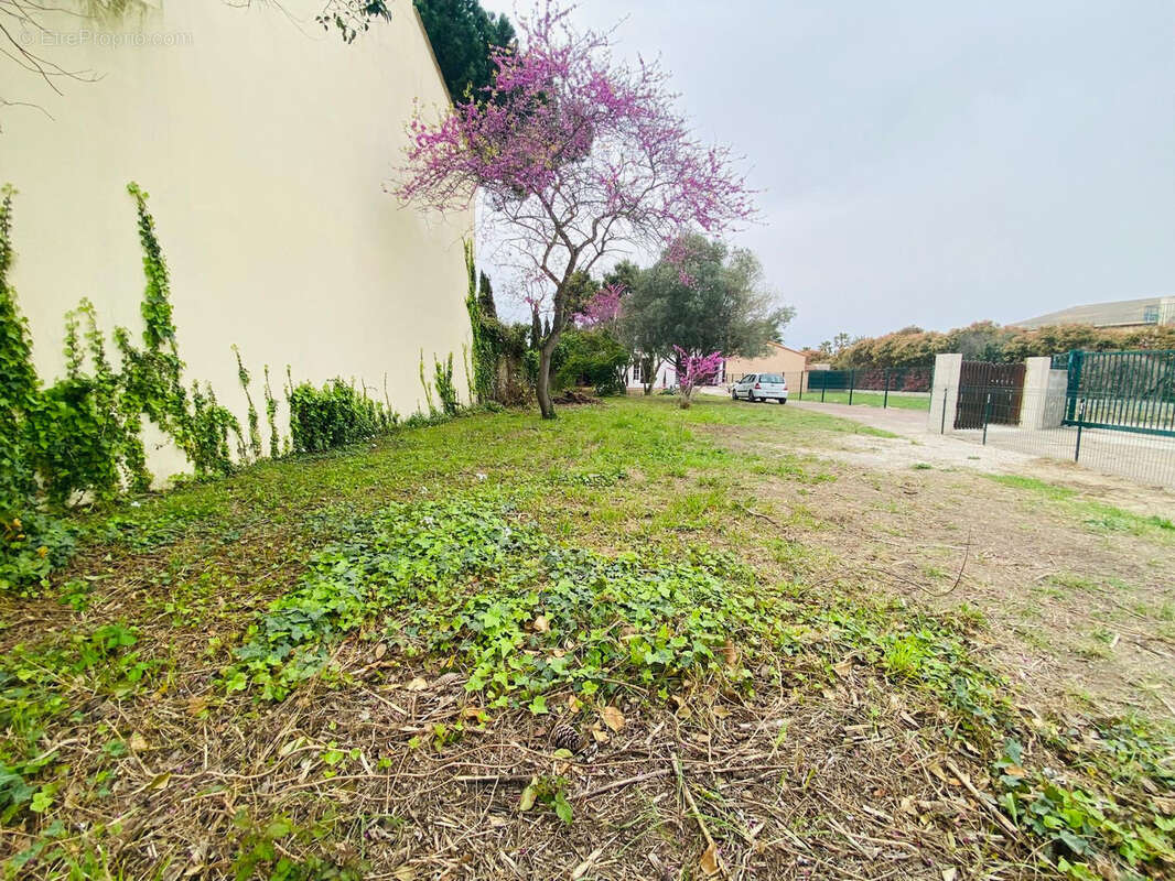 Maison à SAINT-LAURENT-DE-LA-SALANQUE