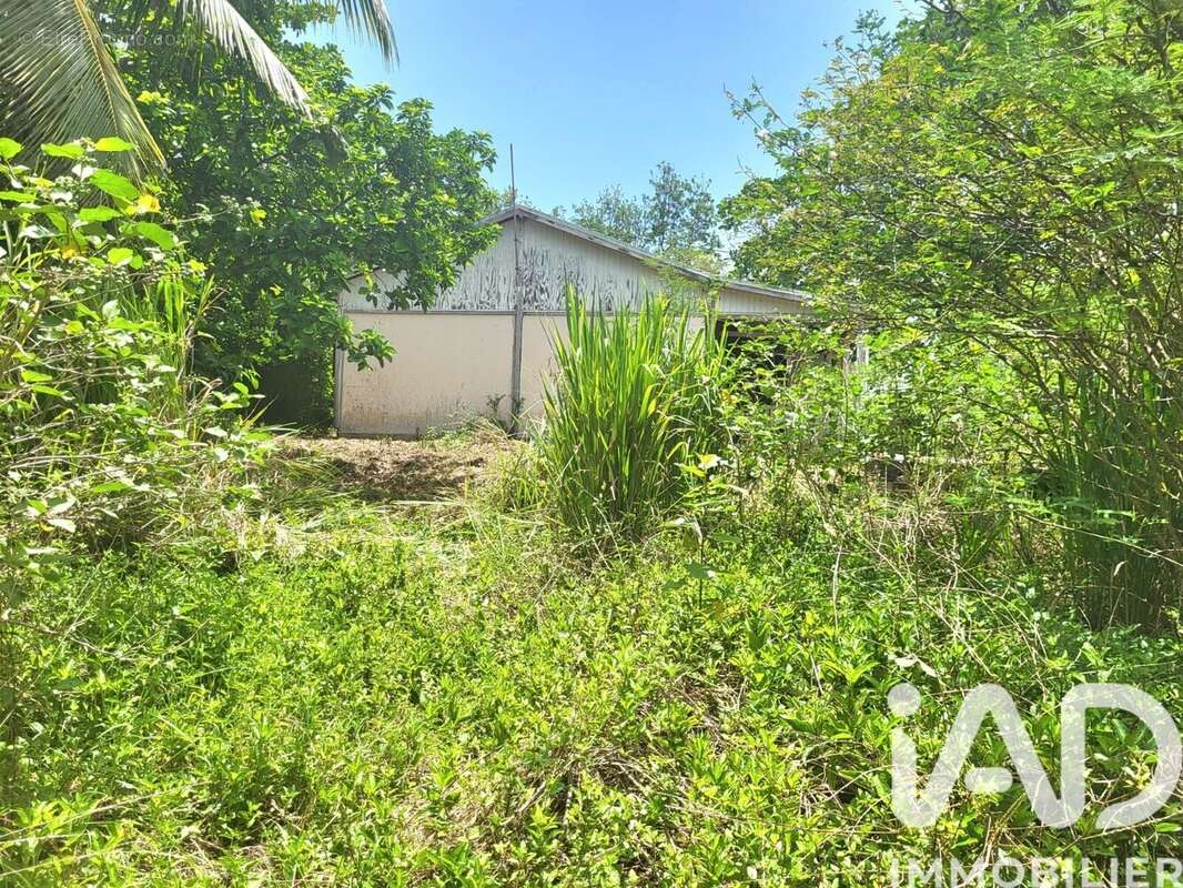 Photo 9 - Maison à PORT-LOUIS