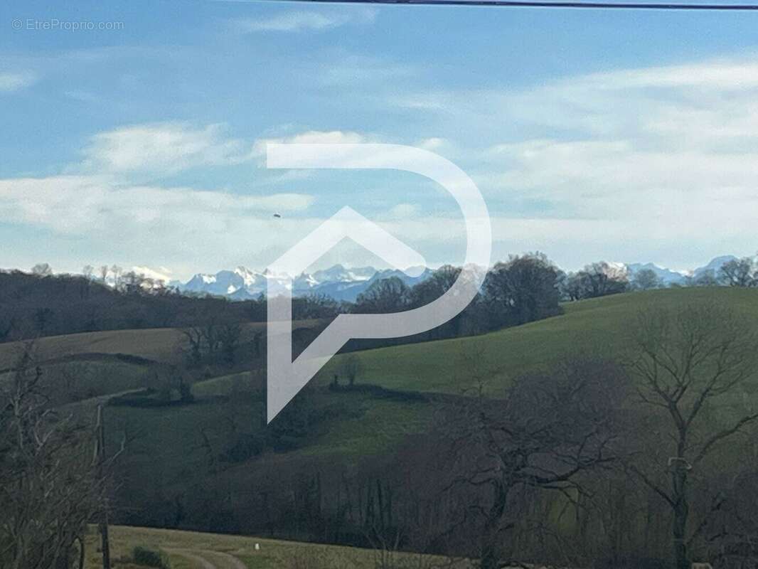 Terrain à SAUVETERRE-DE-BEARN