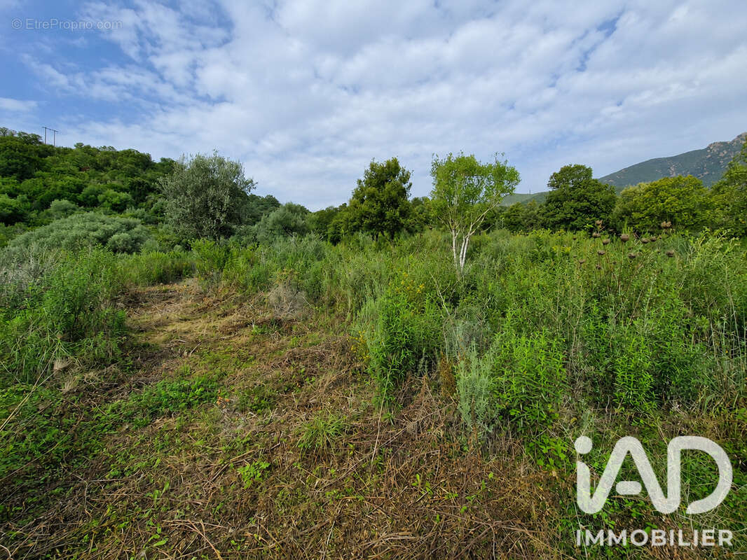 Photo 4 - Terrain à OCANA