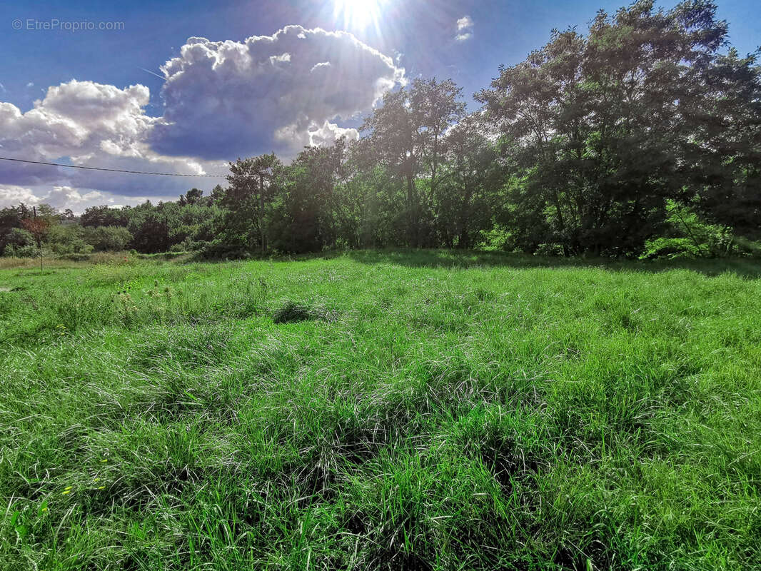 Terrain à RIANS