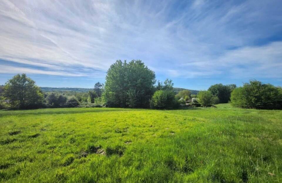 Terrain à LE BREUIL-EN-AUGE