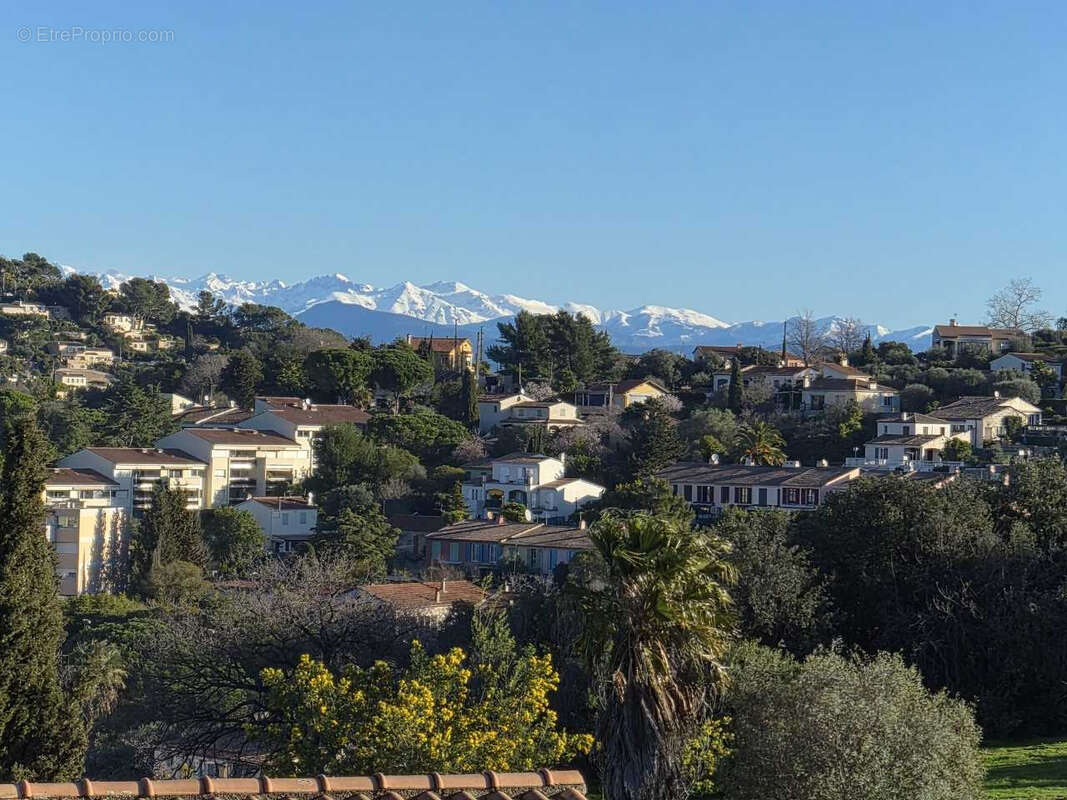 Appartement à VALLAURIS