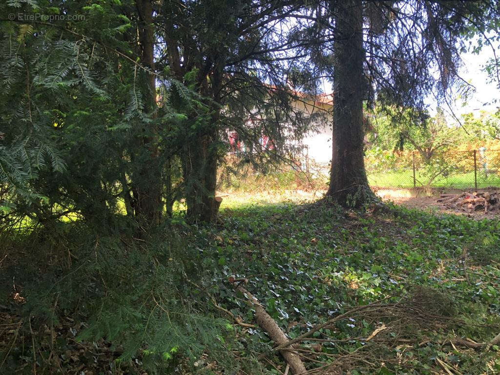 GARCHES , près Parc Casimir-Davaine  : Terrain de 600 m² avec PC pour construire une maison de 221 m² ( R+1 ) = 990.000 € + hono - photo 6