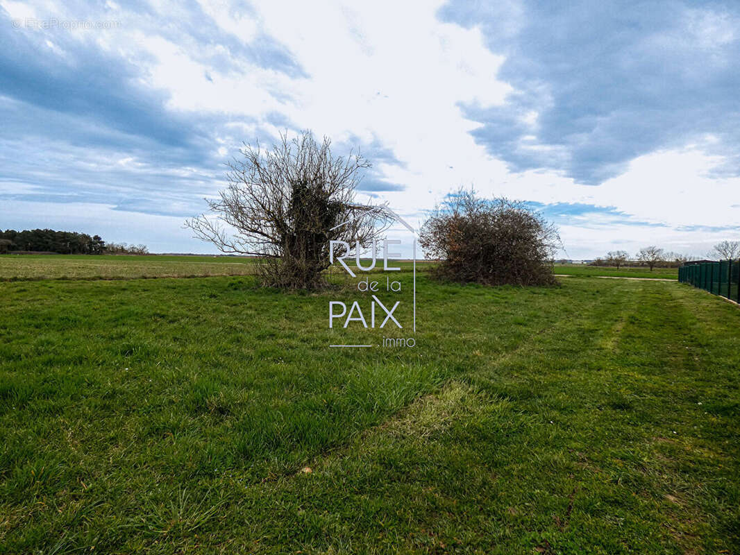 Terrain à SAINT-CLAIR