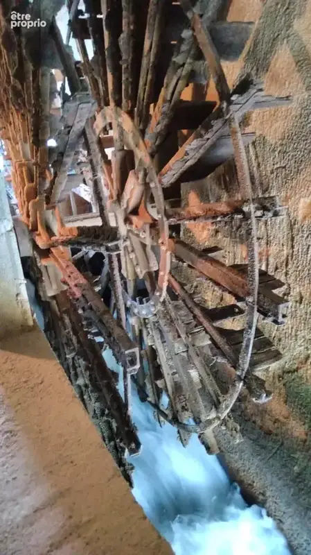 ROUE