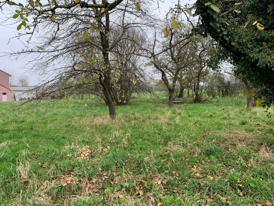 Terrain à CROISMARE