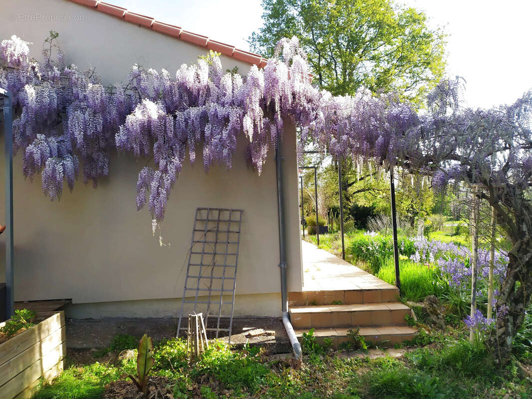 Maison à SAINT-ANDRE-DE-LIDON